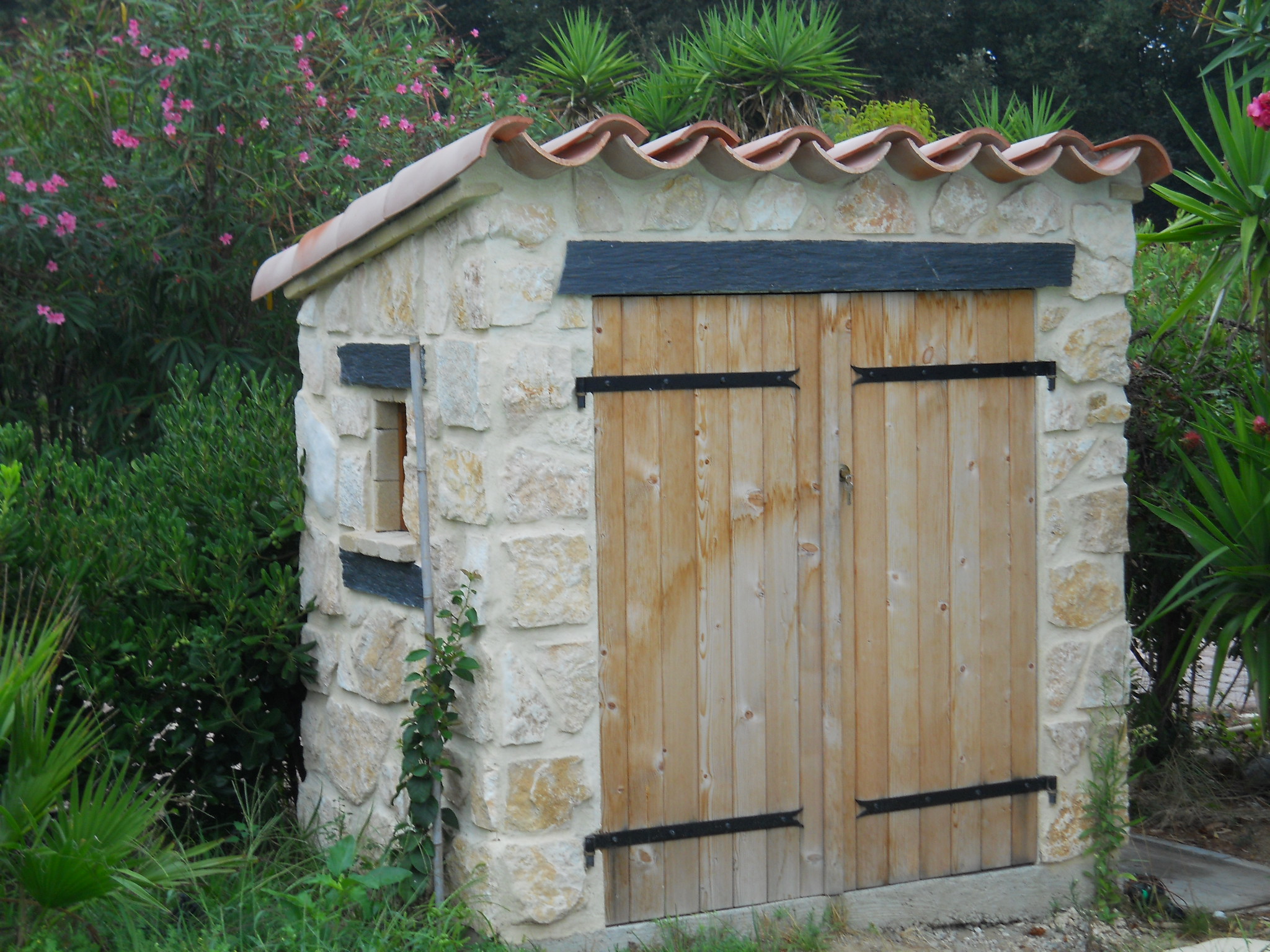 abri piscine local technique